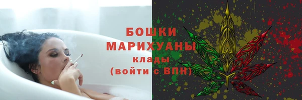 дмт Дмитриев