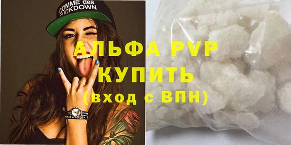 дмт Дмитриев