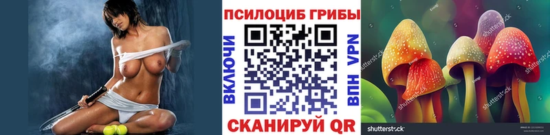 Купить  Устюжна  Псилоцибиновые грибы мухоморы 