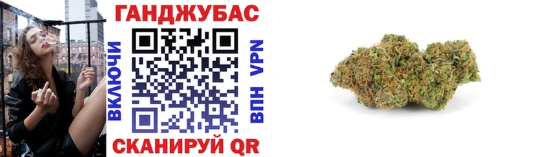 Купить  Устюжна  Каннабис планчик 
